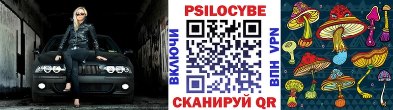 KRAKEN ТОР  Макарьев  Галлюциногенные грибы ЛСД 